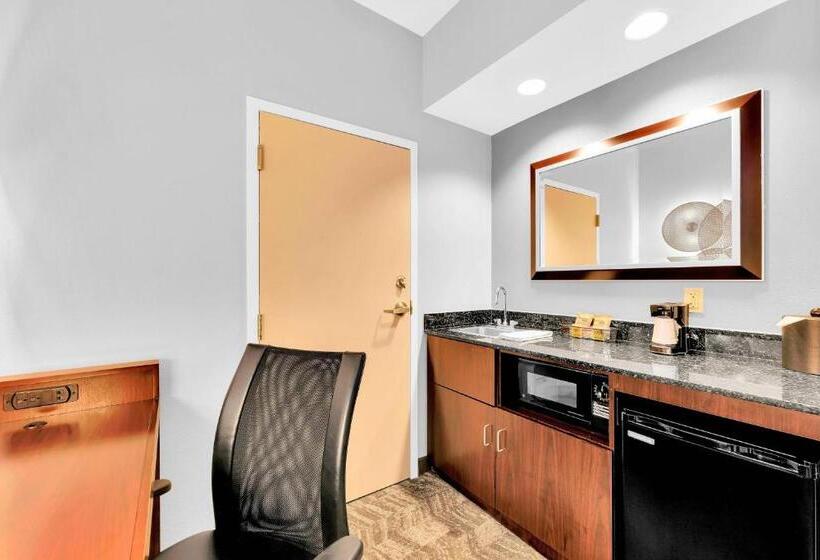 استودیو استاندارد با تخت کینگ, Springhill Suites By Marriott Tarrytown Westchester County