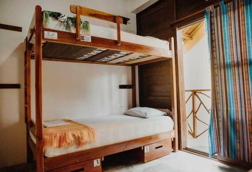 تختخواب در اتاق مشترک, Esperanto Bed & Breakfast Surf Hostel