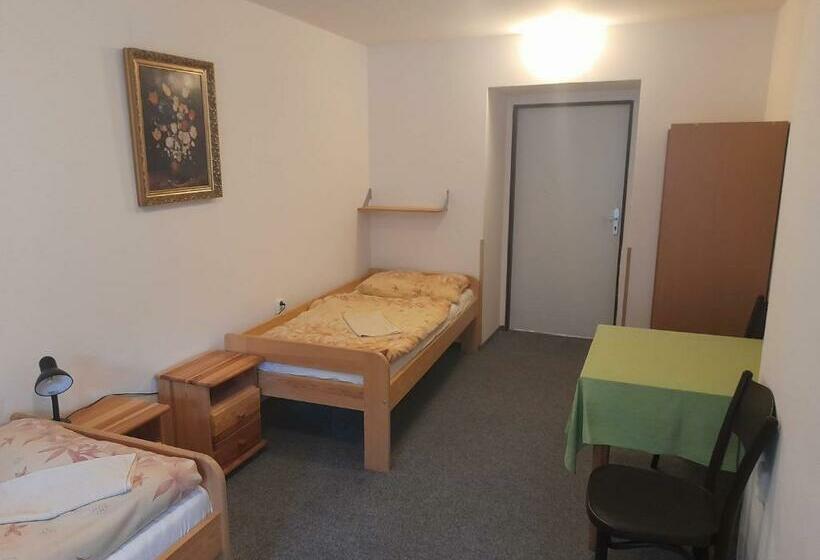 اتاق استاندارد برای معلولان, Penzion Betlém