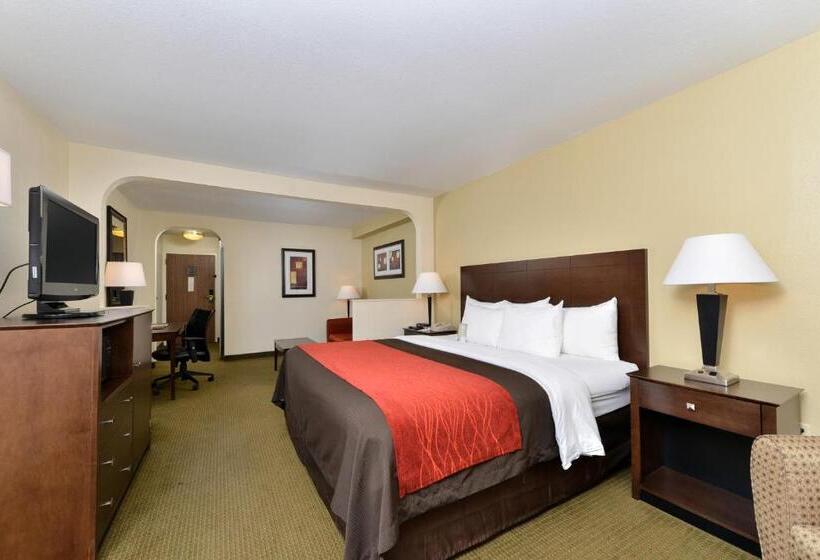 اتاق استاندارد با تخت بزرگ, Comfort Inn Moss Point Pascagoula