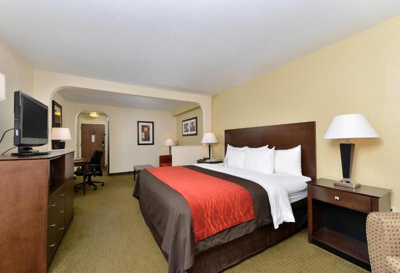 Standard Room King Size Bed, Comfort Inn Moss Point Pascagoula