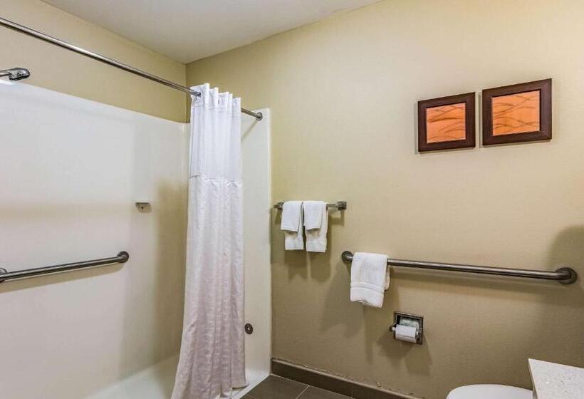 Suite Adaptada para personas con movilidad reducida, Comfort Inn & Suites Lookout Mountain