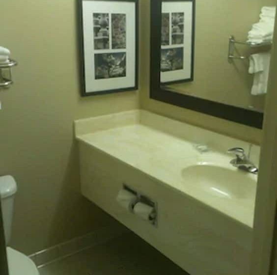 اتاق استاندارد با تخت دوبل برای معلولان, Country Inn & Suites By Radisson, Rochester South, Mn