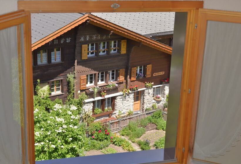 Standard Single Room, Edelweiss