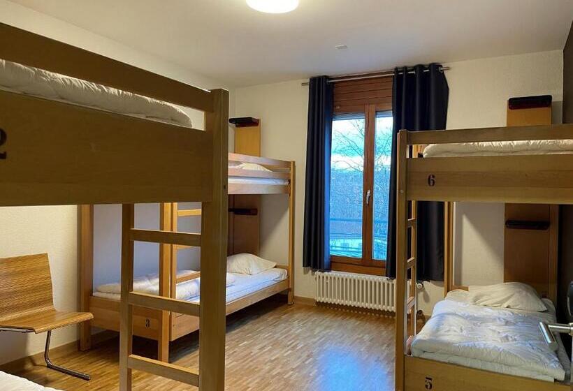 سرير فى غرفة مشتركه, Geneva Hostel