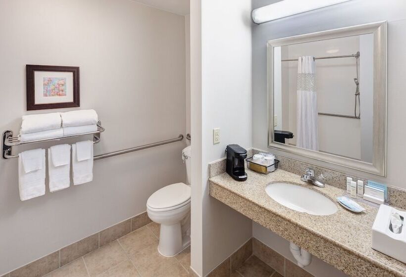 Standard Room Double Bed Adapted for people with reduced mobility, Hampton Inn & Suites Dothan