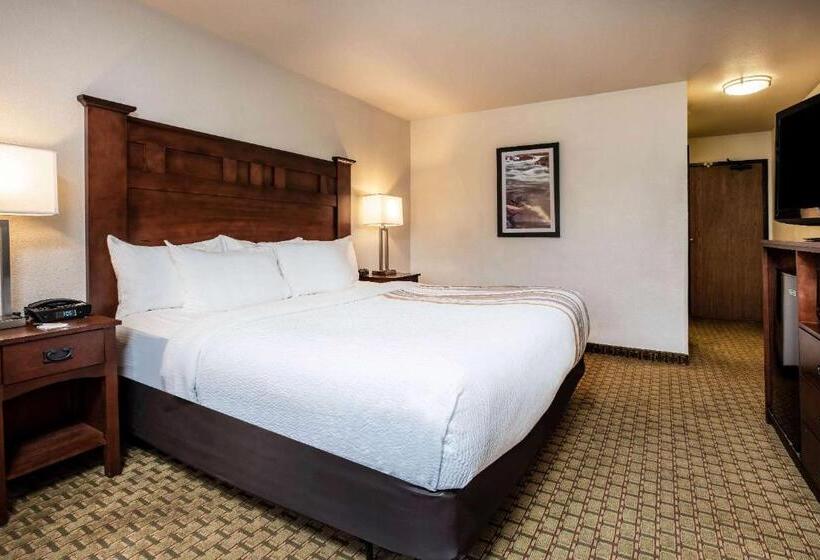 Standard Room King Bed Adapted for people with reduced mobility, La Quinta Inn & Suites By Wyndham Grants Pass