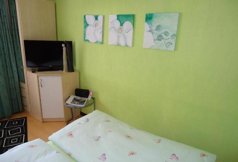 Standard Single Room, Primavera