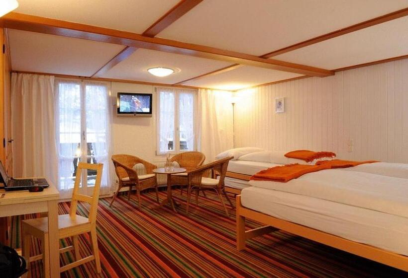共用浴室的经济型房间, Schützen Lauterbrunnen