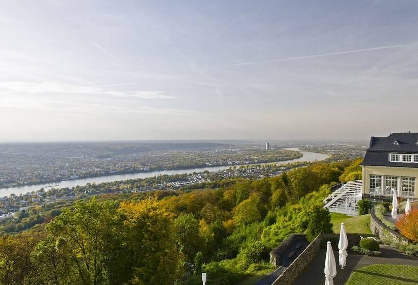 Quarto Deluxe com Vistas, Steigenberger Grand Petersberg