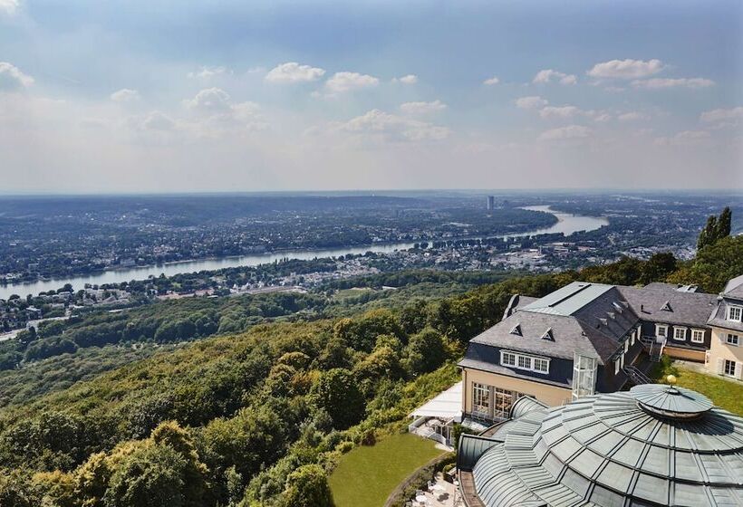 اتاق لوکس با چشم‌انداز, Steigenberger Grand Petersberg