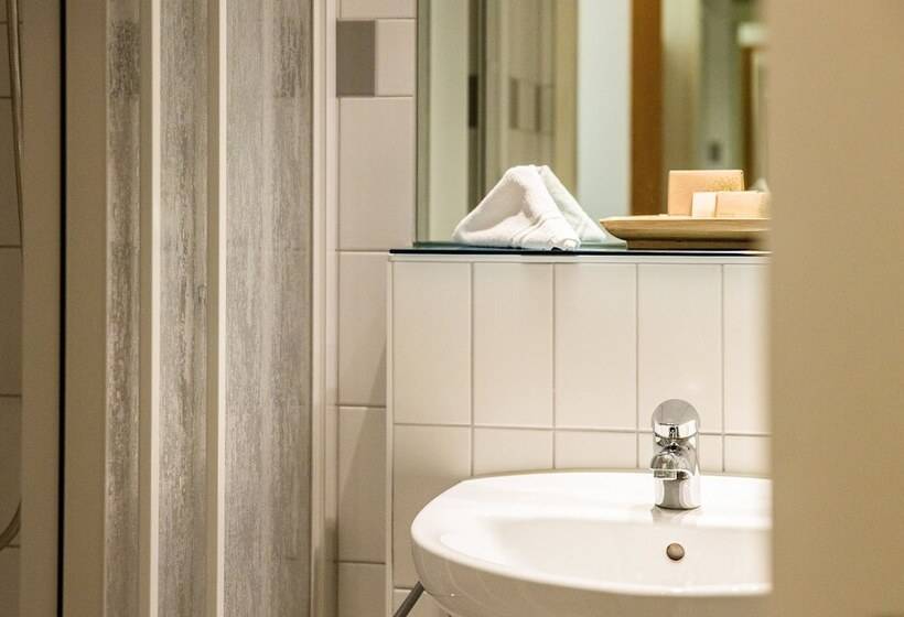 スタンダードシングルルーム, Odelya Hotel & Naturgarten Basel City