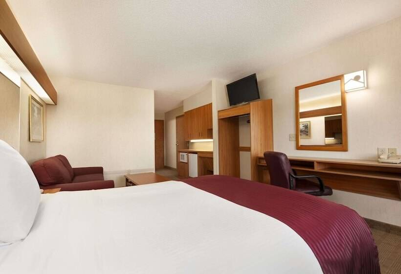 اتاق استاندارد برای معلولان, Microtel Inn & Suites By Wyndham Ann Arbor