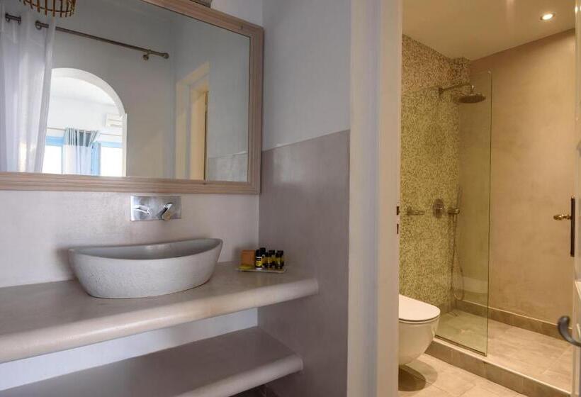 اتاق کلاسیک, Andromeda Villas & Spa Resort