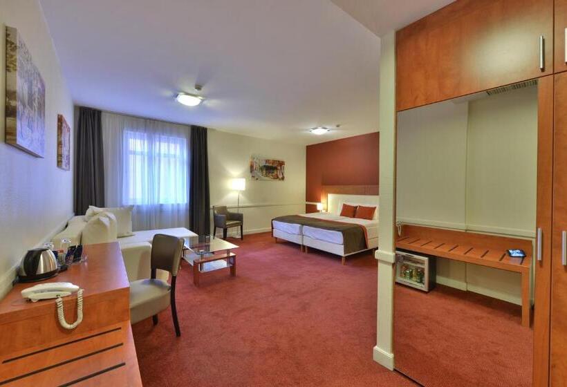 1 Bedroom Superior Apartment, City Inn