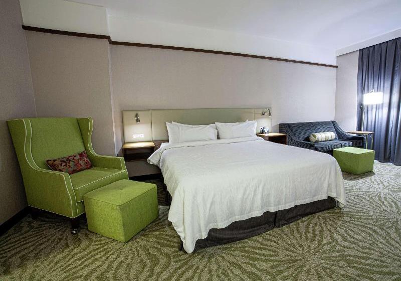 اتاق استاندارد با تخت بزرگ, Hilton Garden Inn Montreal Airport