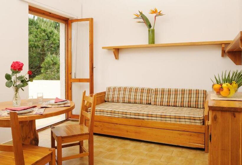 آپارتمان 1 خوابه, Residence Oasis