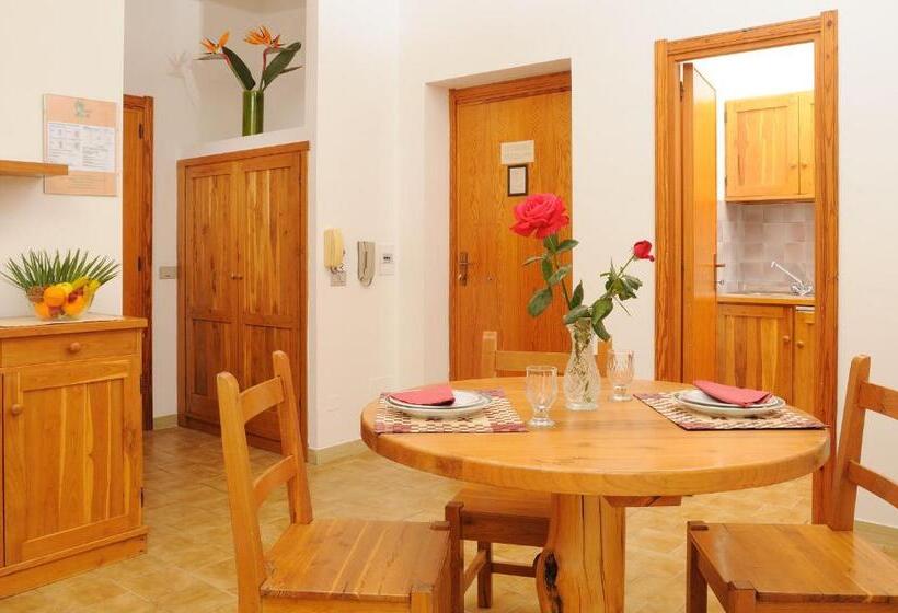 آپارتمان اکونومی 1 خوابه, Residence Oasis