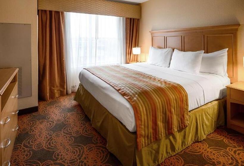 اتاق استاندارد با تخت بزرگ برای معلولان, Best Western Plus Waco North