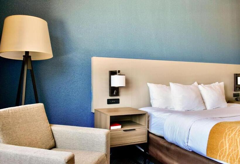 اتاق استاندارد با تخت بزرگ, Comfort Inn & Suites Cartersville   Emerson Lake Point