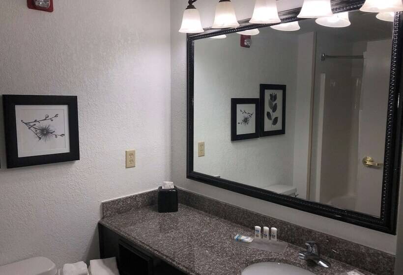 سوییت, Country Inn & Suites By Radisson, Biloxi Ocean Springs, Ms
