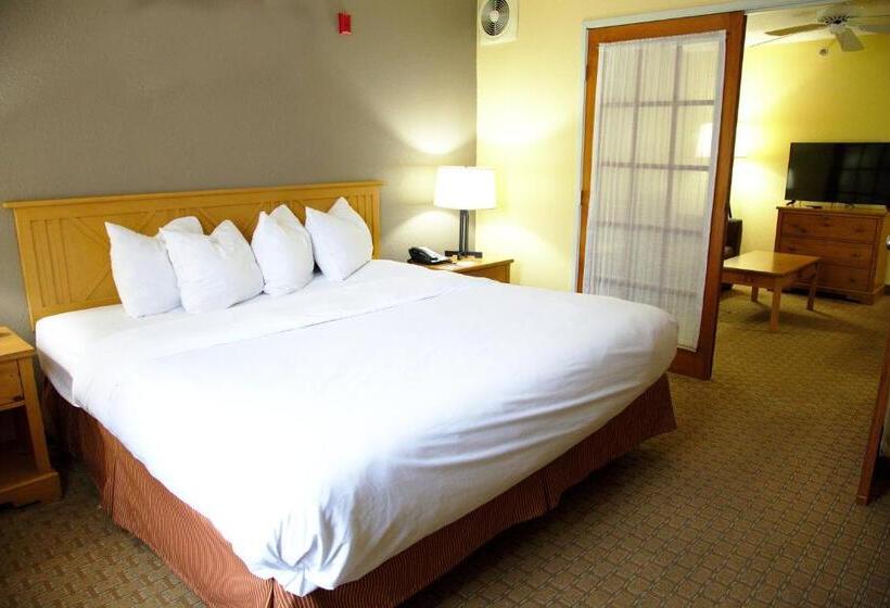 Suite Lit King, Country Inn & Suites By Radisson, Bloomingtonnormal West, Il