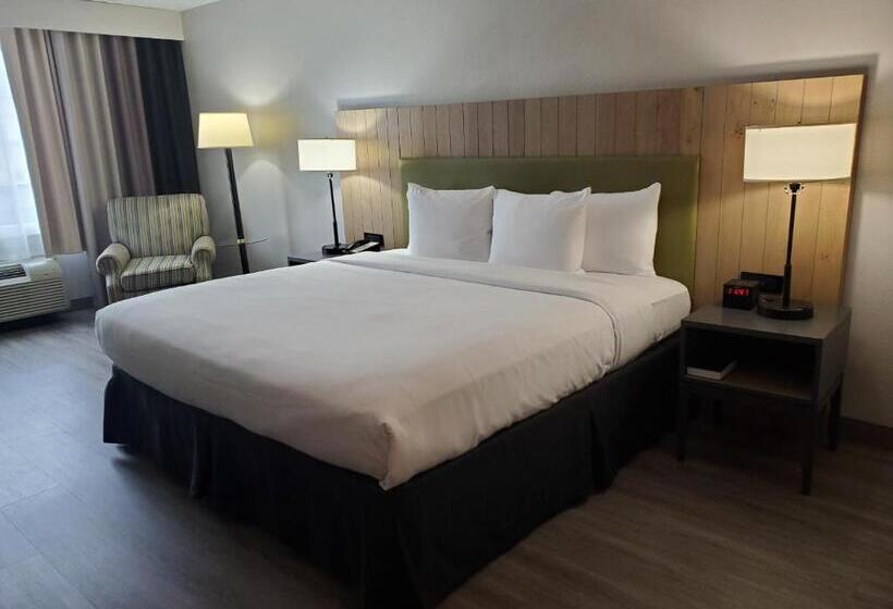 اتاق استاندارد با تخت بزرگ, Country Inn & Suites By Radisson, Buford At Mall Of Georgia, Ga