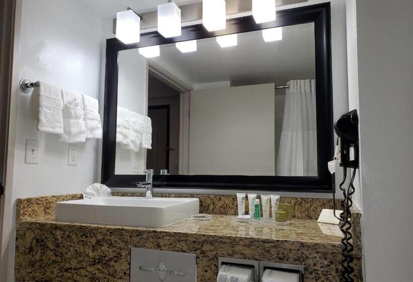 اتاق استاندارد با تخت بزرگ, Country Inn & Suites By Radisson, Buford At Mall Of Georgia, Ga