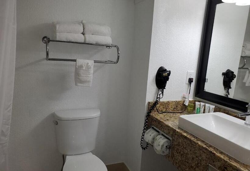 سوئیت با تخت بزرگ, Country Inn & Suites By Radisson, Buford At Mall Of Georgia, Ga