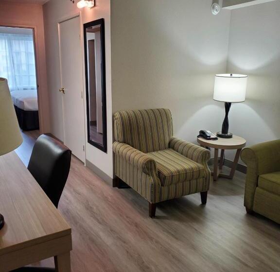 سوئیت با تخت بزرگ, Country Inn & Suites By Radisson, Buford At Mall Of Georgia, Ga