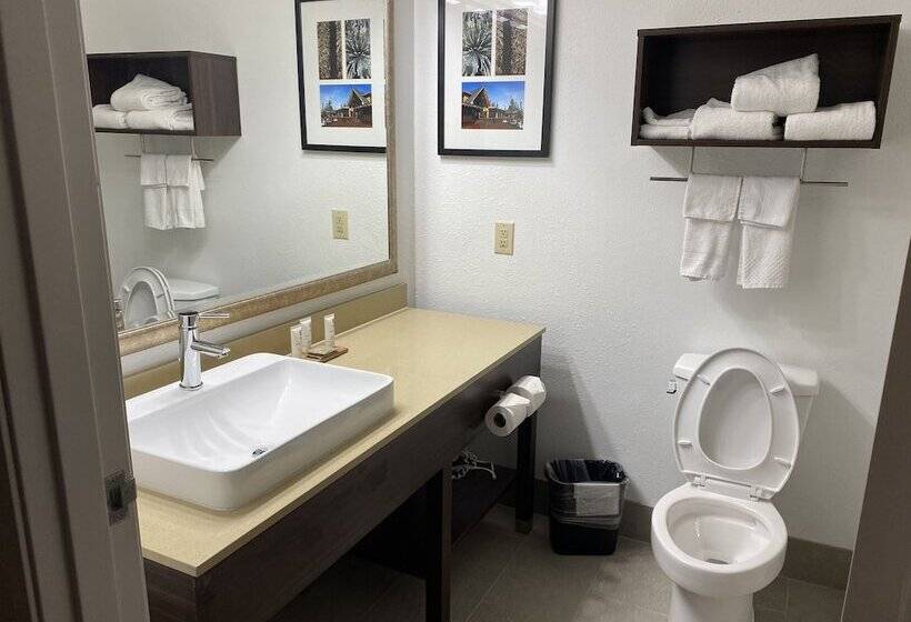 Suite Adapted for people with reduced mobility, Country Inn & Suites By Radisson, Columbia Airport, Sc