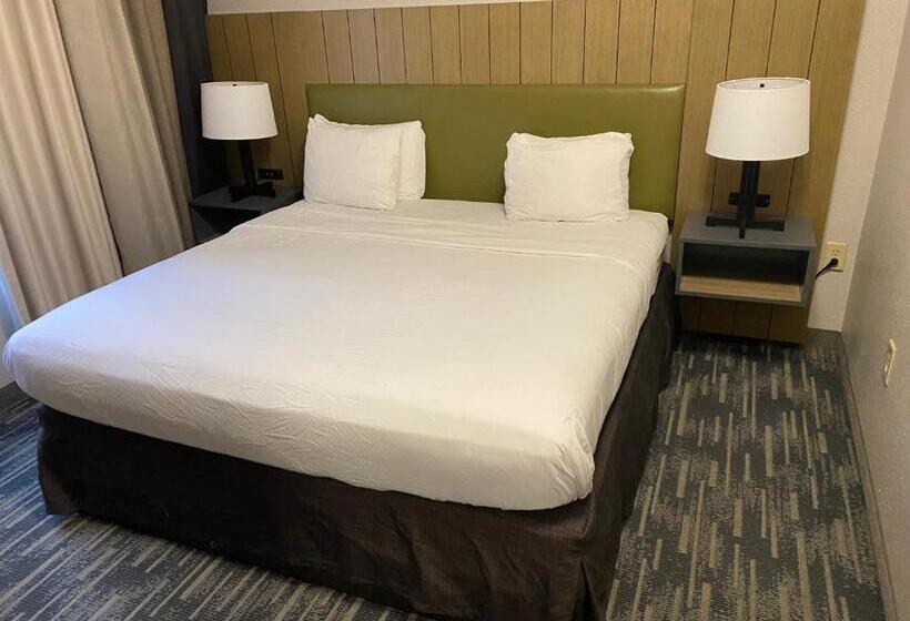 سوئیت با تخت بزرگ, Country Inn & Suites By Radisson, Columbia Airport, Sc