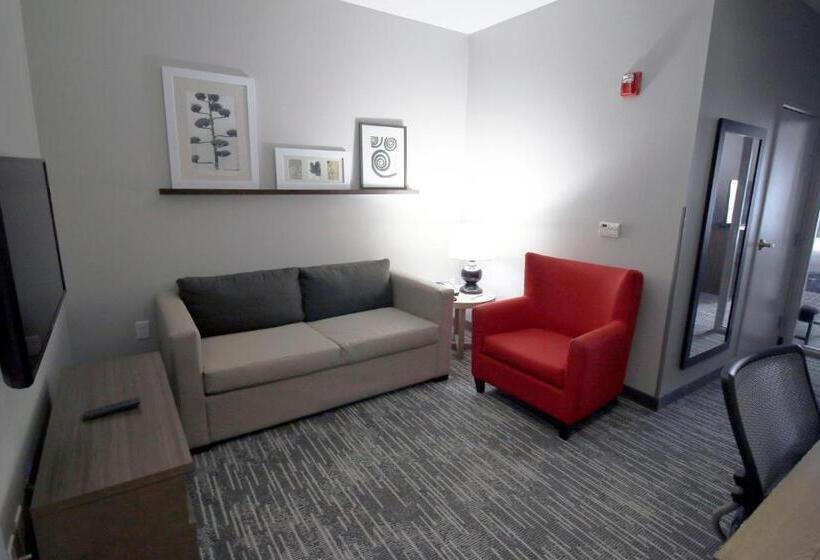 سوئیت با تخت بزرگ, Country Inn & Suites By Radisson, Council Bluffs, Ia