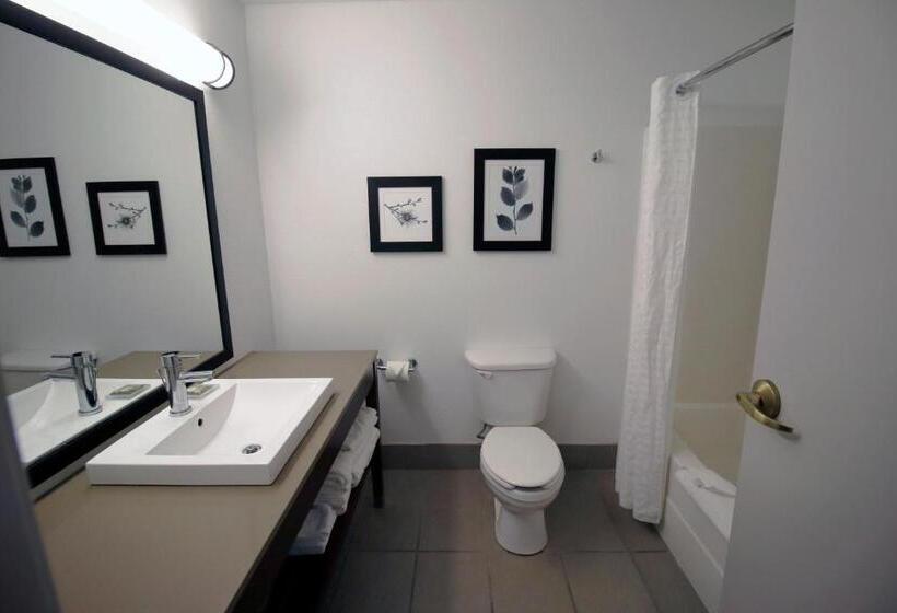 اتاق استاندارد با تخت بزرگ, Country Inn & Suites By Radisson, Council Bluffs, Ia