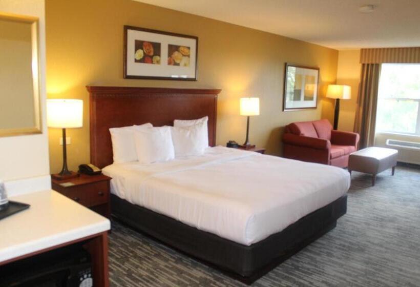 Business-Zimmer, Country Inn & Suites By Radisson, Crystal Lake, Il