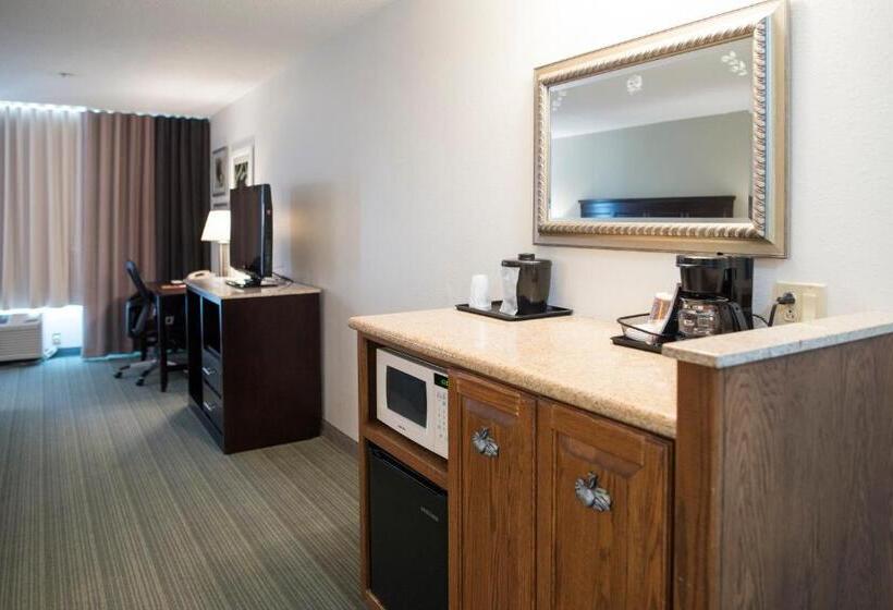 带大床的套房, Country Inn & Suites By Radisson, Effingham, Il