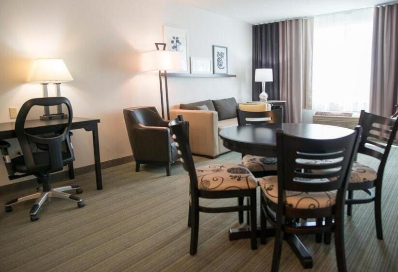 带大床的套房, Country Inn & Suites By Radisson, Effingham, Il