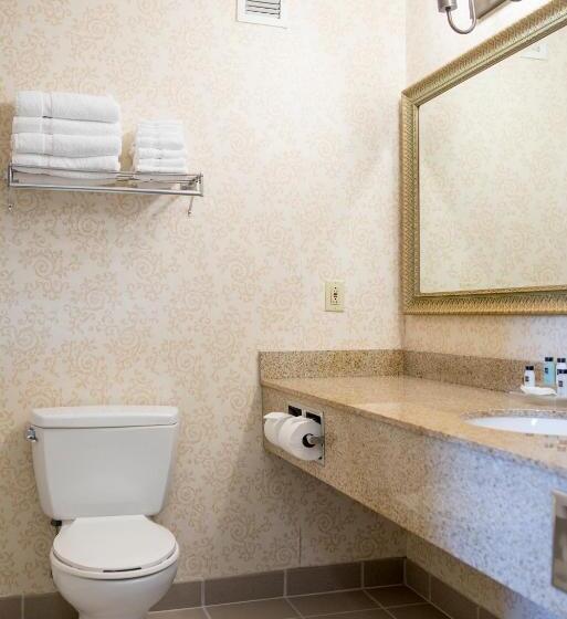 适合残疾人士使用的带超级大床的标准间, Country Inn & Suites By Radisson, Effingham, Il