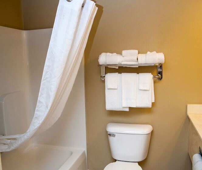 سوئیت برای معلولان, Country Inn & Suites By Radisson, Milwaukee Airport, Wi