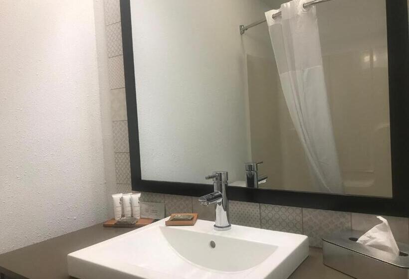 سوئیت برای معلولان, Country Inn & Suites By Radisson, Milwaukee Airport, Wi