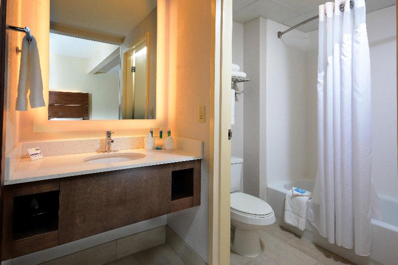 سوئیت با تخت بزرگ, Holiday Inn Express & Suites Raleigh Durham Airport At Rtp, An Ihg