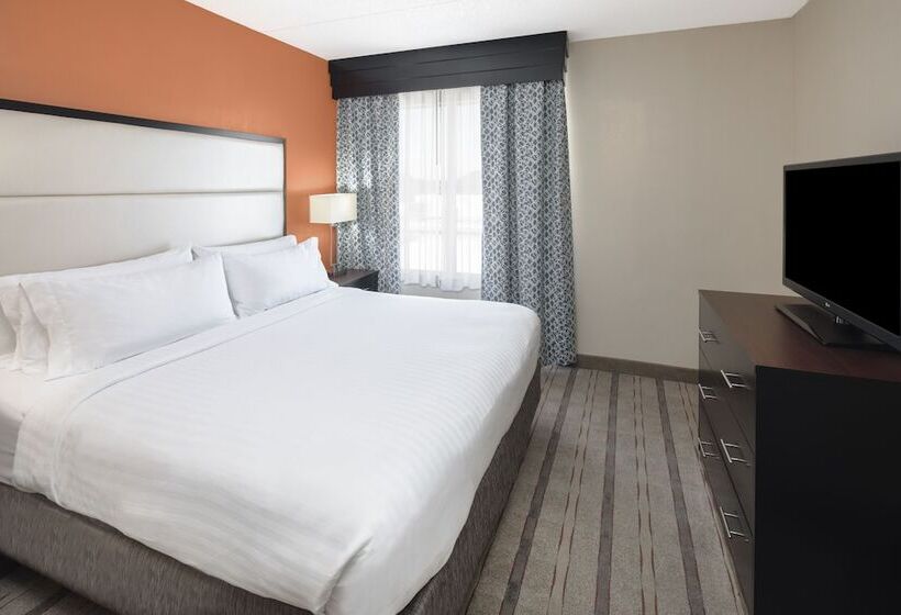 Standaardkamer met 2 Tweepersoonsbedden, Holiday Inn Express And Suites Atlanta Ne  Duluth