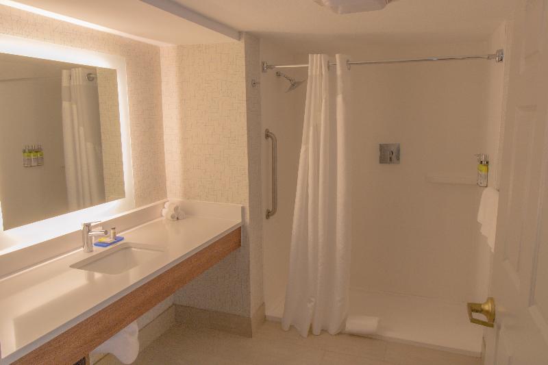 اتاق استاندارد با تخت بزرگ برای معلولان, Holiday Inn Express & Suites Manassas, An Ihg