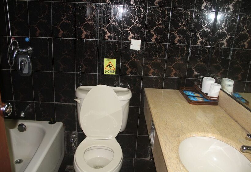 اتاق استاندارد, Hunan New Pipaxi