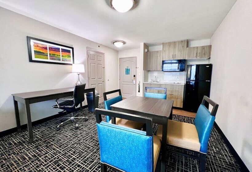 Suite, La Quinta Inn & Suites By Wyndham Pharr North Mcallen