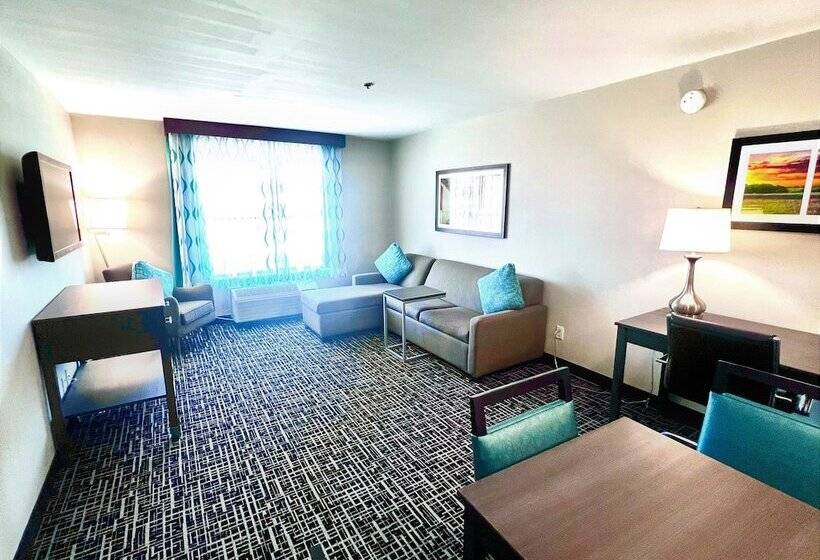 Suite, La Quinta Inn & Suites By Wyndham Pharr North Mcallen