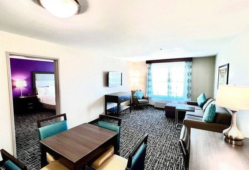 Suite, La Quinta Inn & Suites By Wyndham Pharr North Mcallen