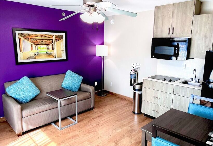 سوییت, La Quinta By Wyndham Pharr North Mcallen