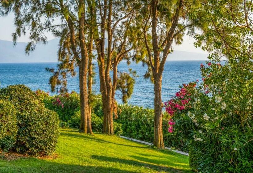 اتاق استاندارد در طبقه همکف, The Grand Blue Sky International  All Inclusive
