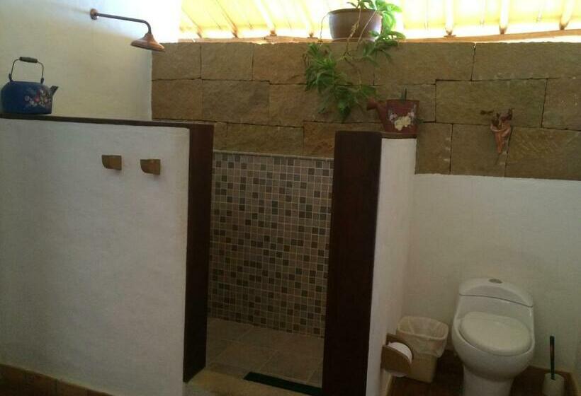 استودیوی استاندارد, Arapaima B&b